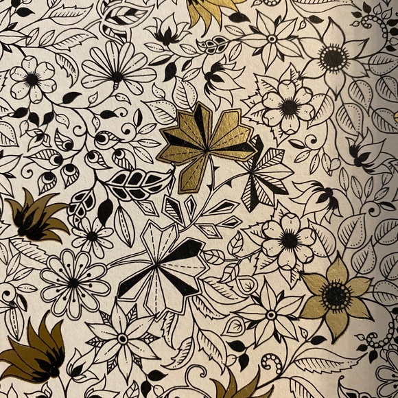 Meet your Posher, Lettie - Picture 1 of 1